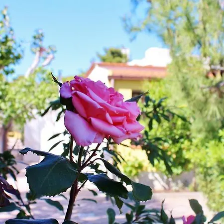 아파트호텔 Rendez Vous 4*