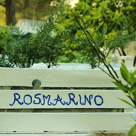 Rendez Vous 비에스테