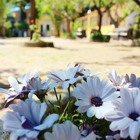 Rendez Vous 维耶斯泰