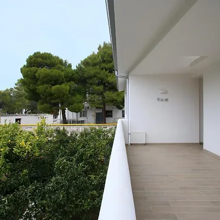 Rendez Vous 维耶斯泰