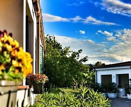 Rendez Vous 维耶斯泰