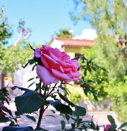 Apart-hotel Rendez Vous 4*